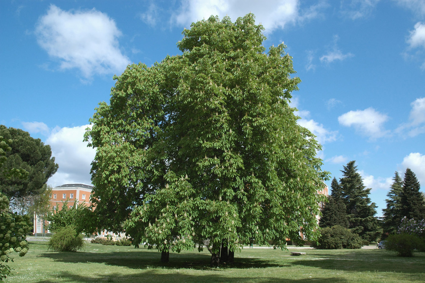 Jardines UPM